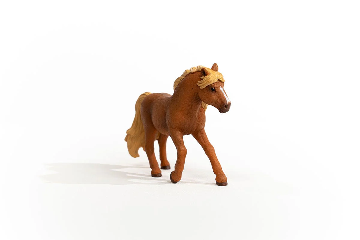 IJslander ponyhengst - Image 4