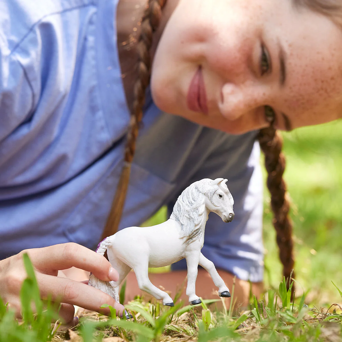 IJslander ponymerrie - Image 2