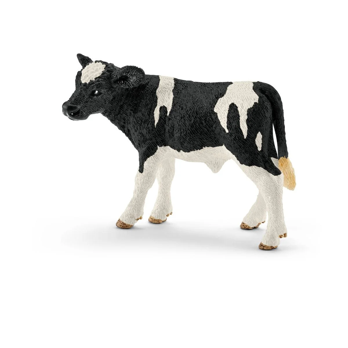 Kalf zwartbont