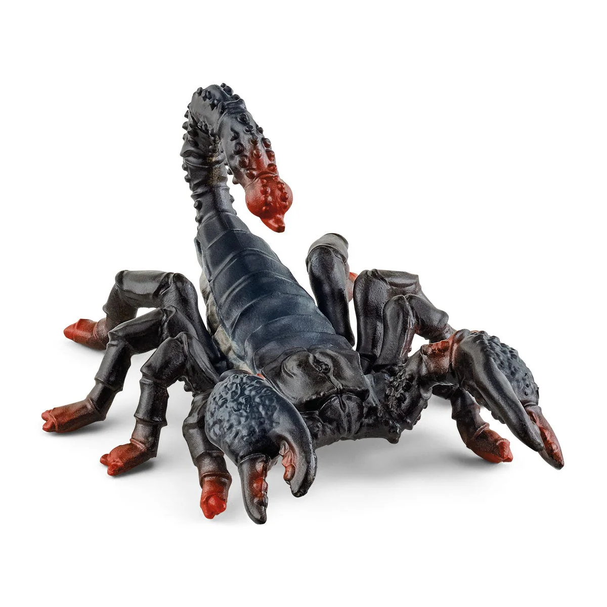 Miniatuur 1