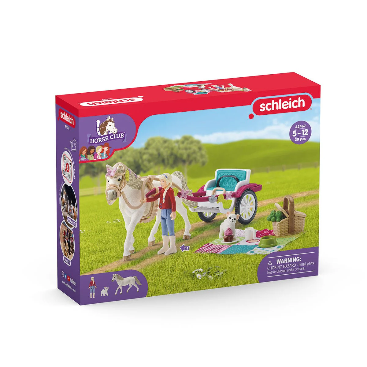 Koets voor paardenshow - Image 13