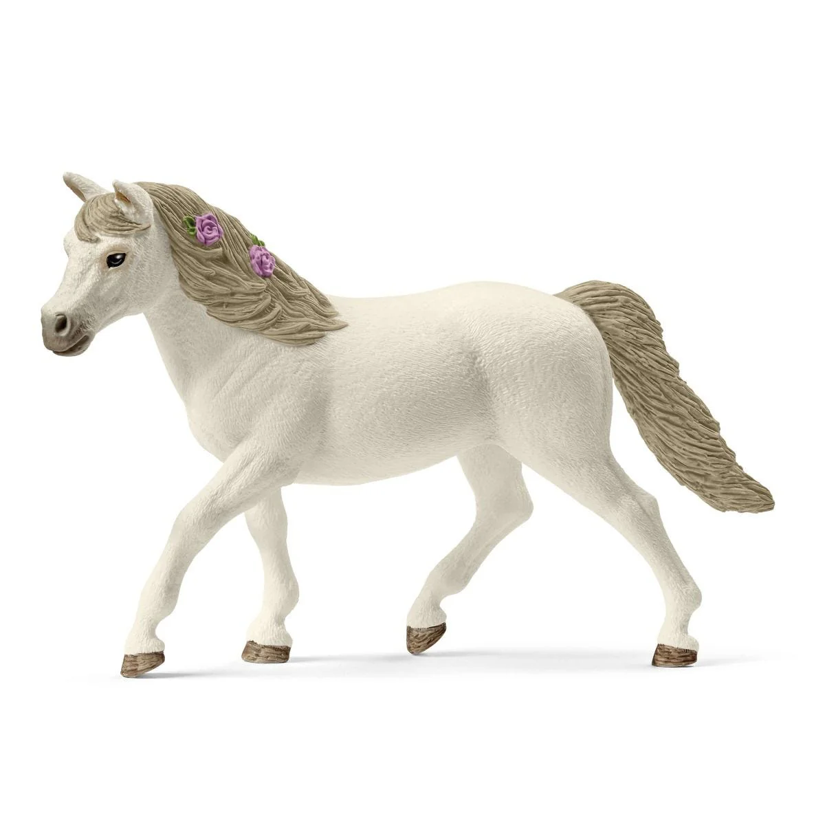 Koets voor paardenshow - Image 7