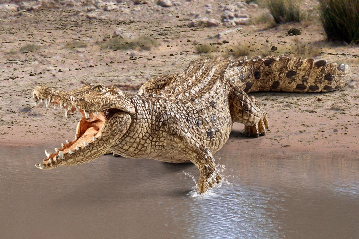 Krokodil - Image 6