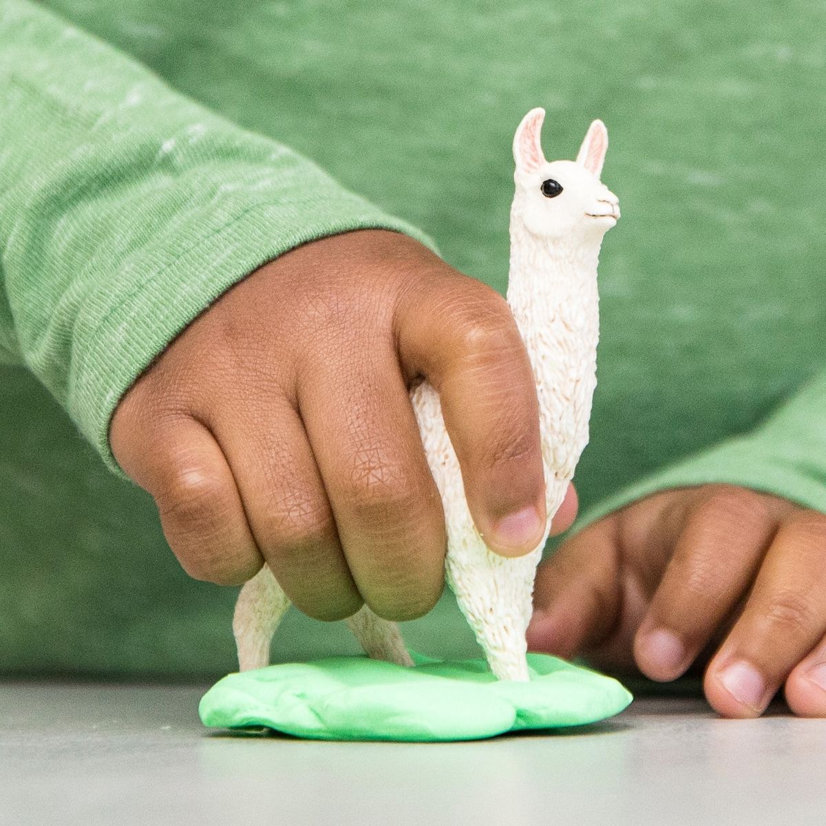 Lama - Image 3