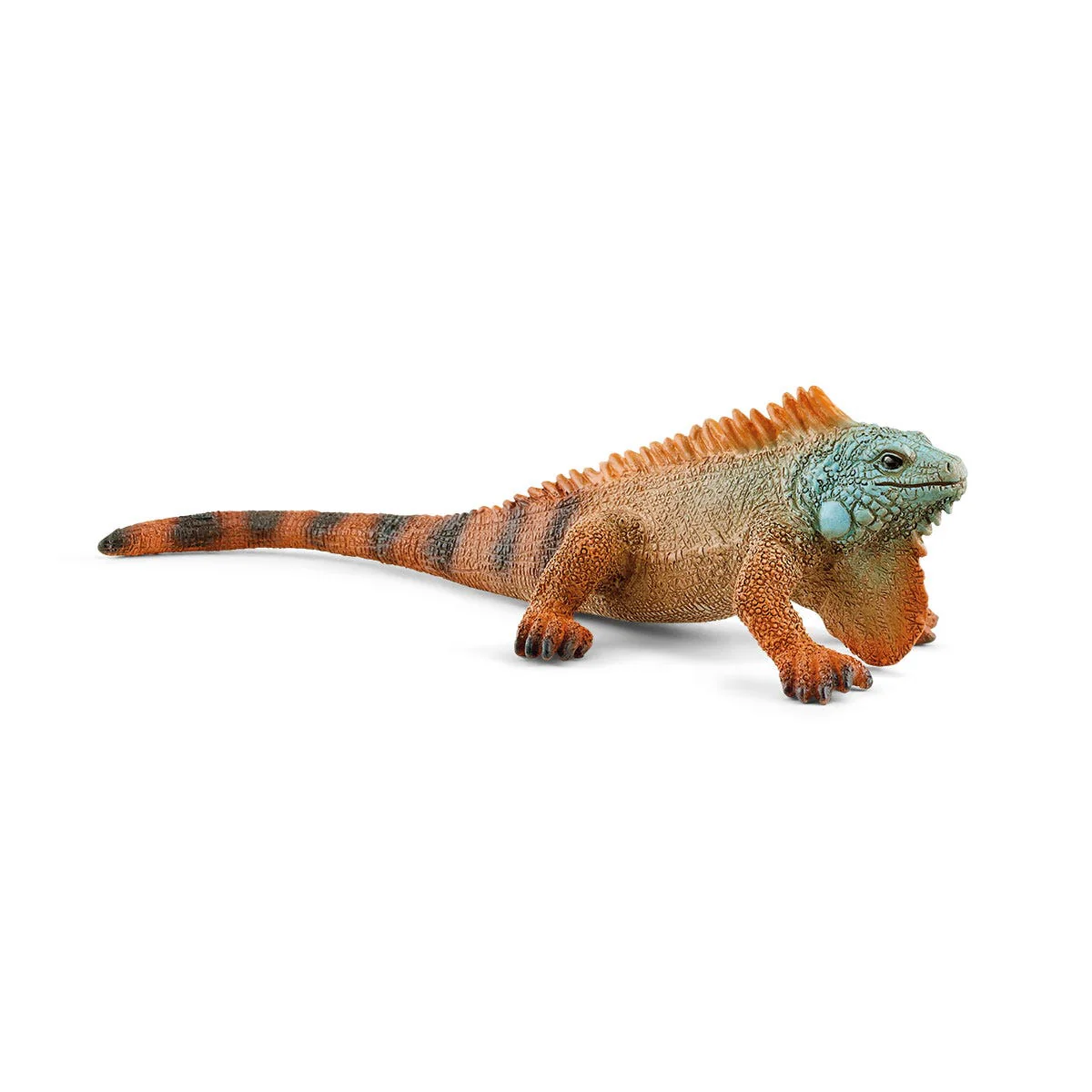 Miniatuur 1