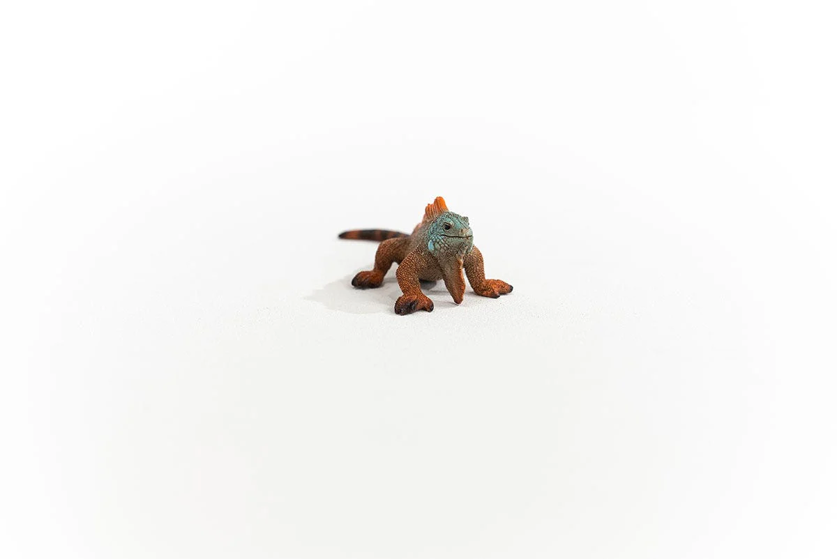 Miniatuur 2