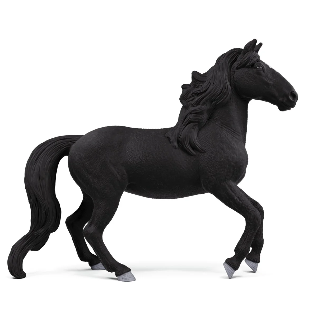 Lusitano-hengst - Image 3