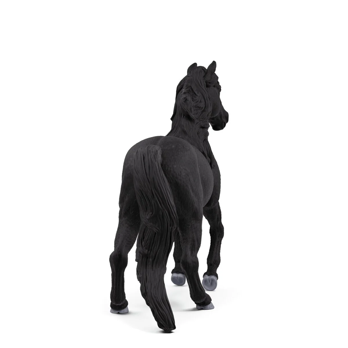 Lusitano-hengst - Image 4