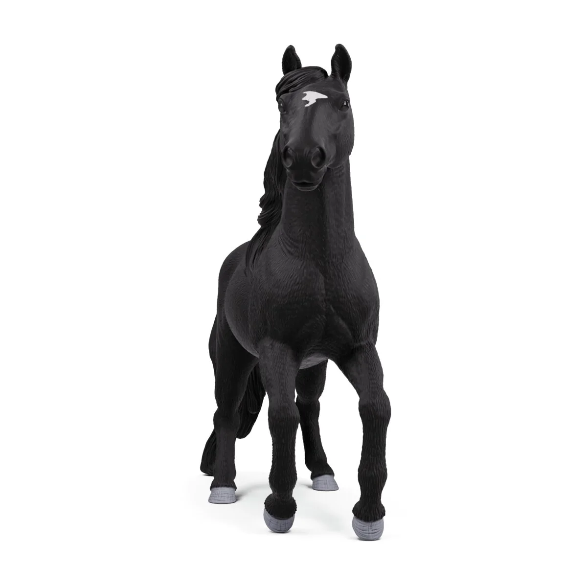 Lusitano-hengst - Image 5