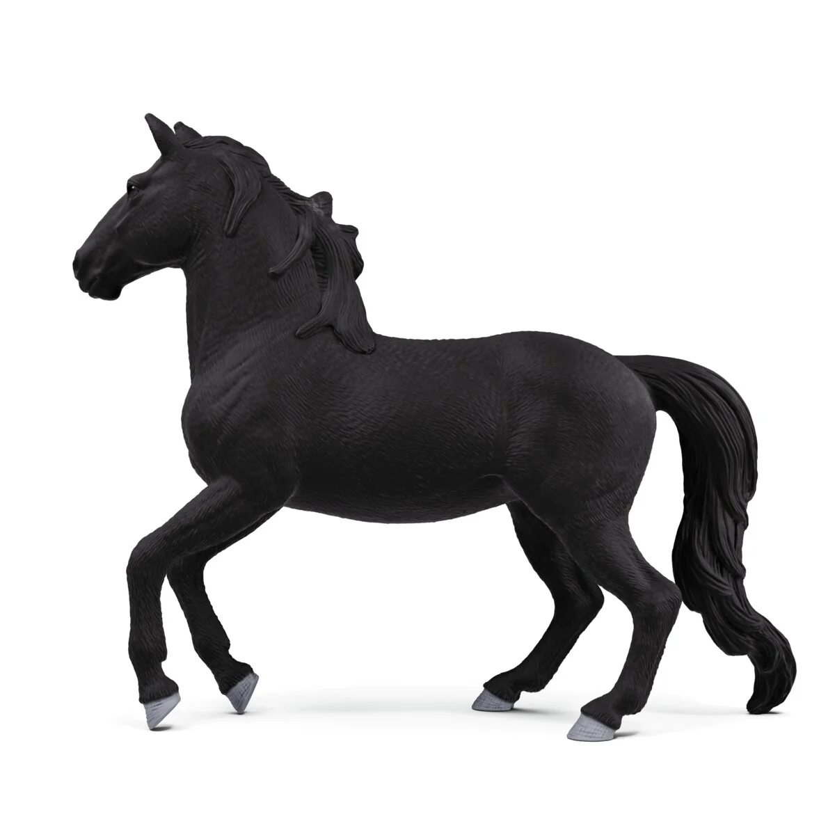 Lusitano-hengst - Image 6