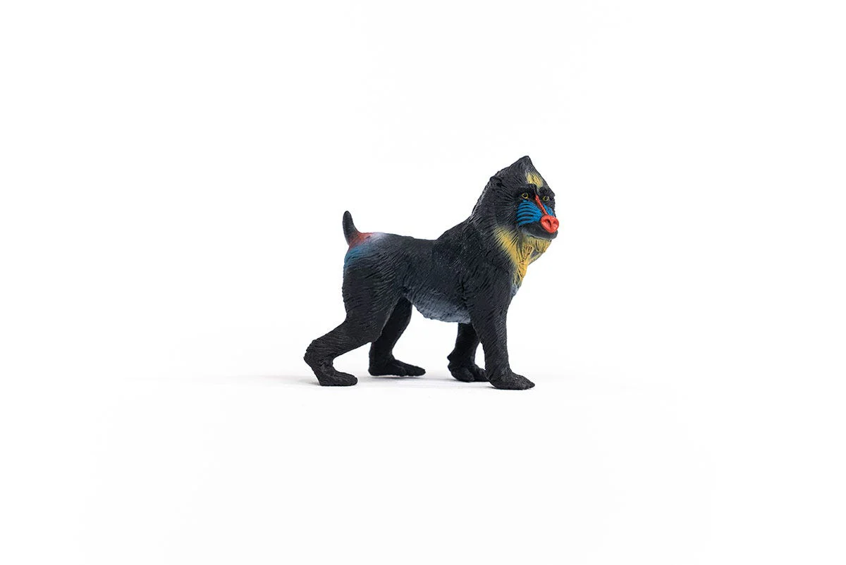 Mandril - Image 4