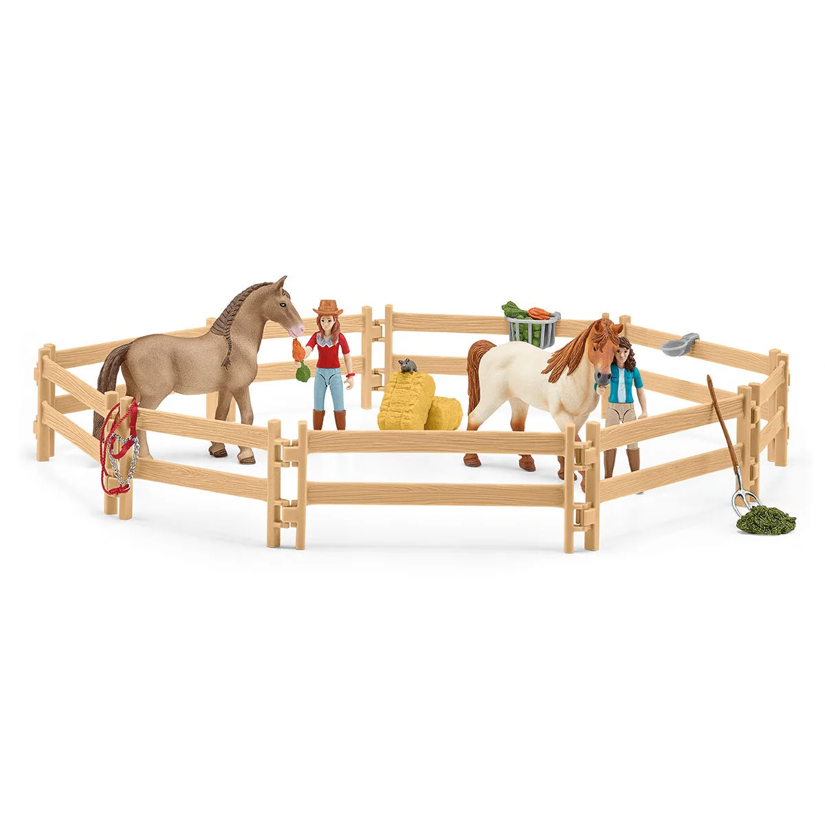Manege - Image 18