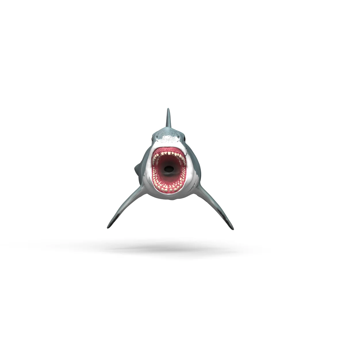 Megalodon - Image 4