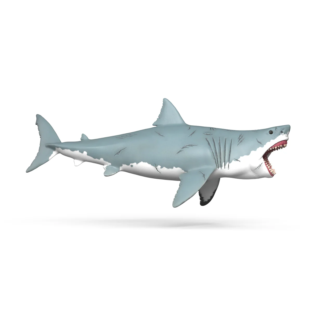 Megalodon - Image 6