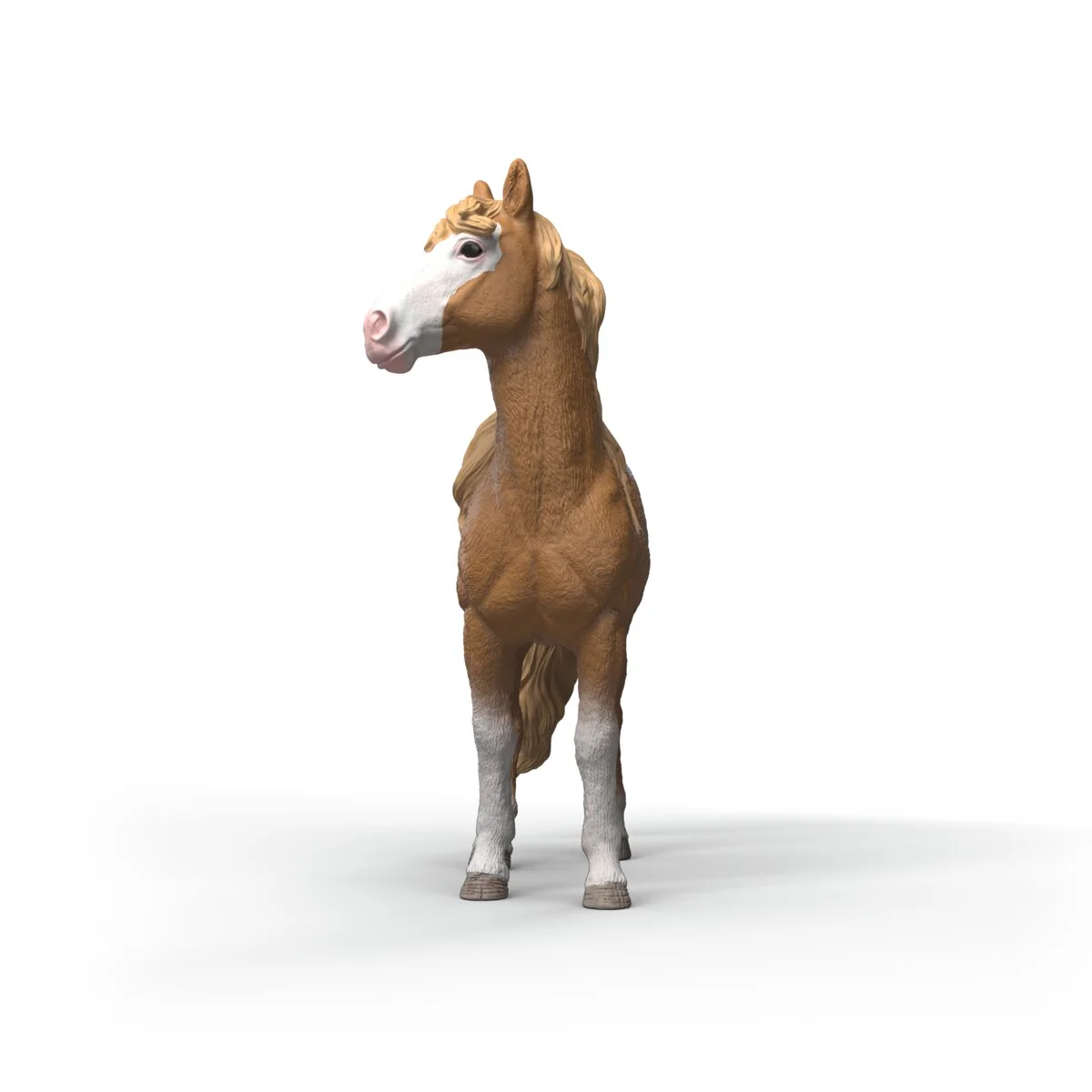 Mustangmerrie - Image 3