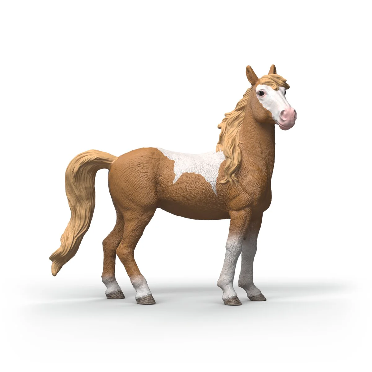 Mustangmerrie - Image 4