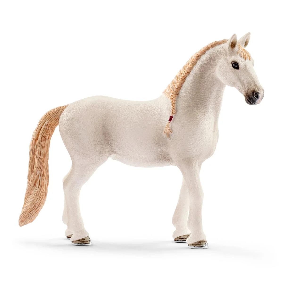 Paardenbox met Lusitano merrie - Image 3