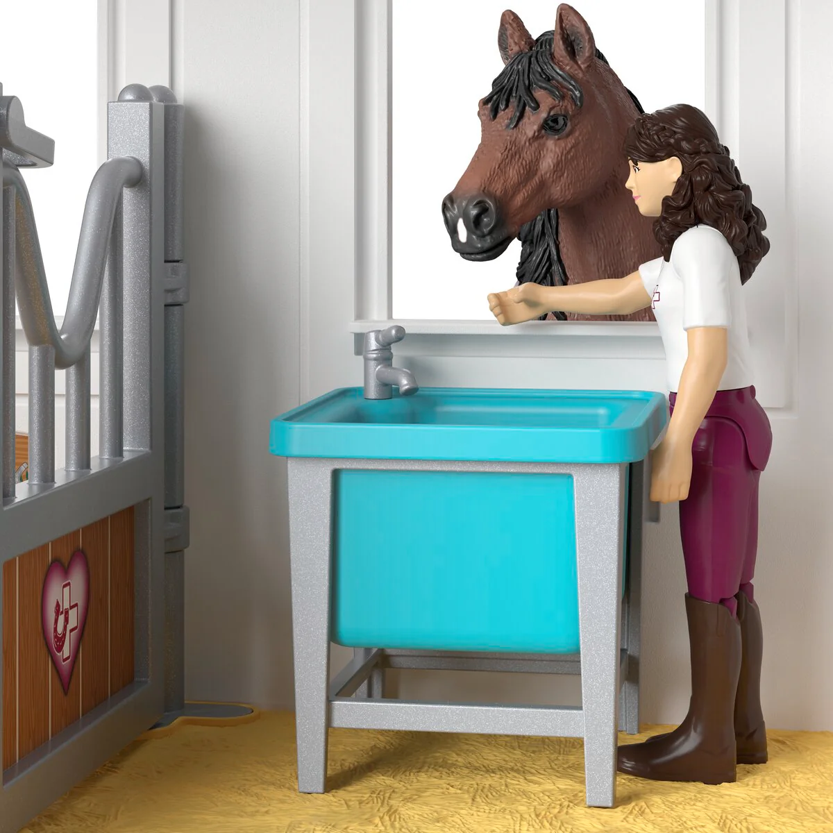 Paardenkliniek Helende hoeven - Image 7