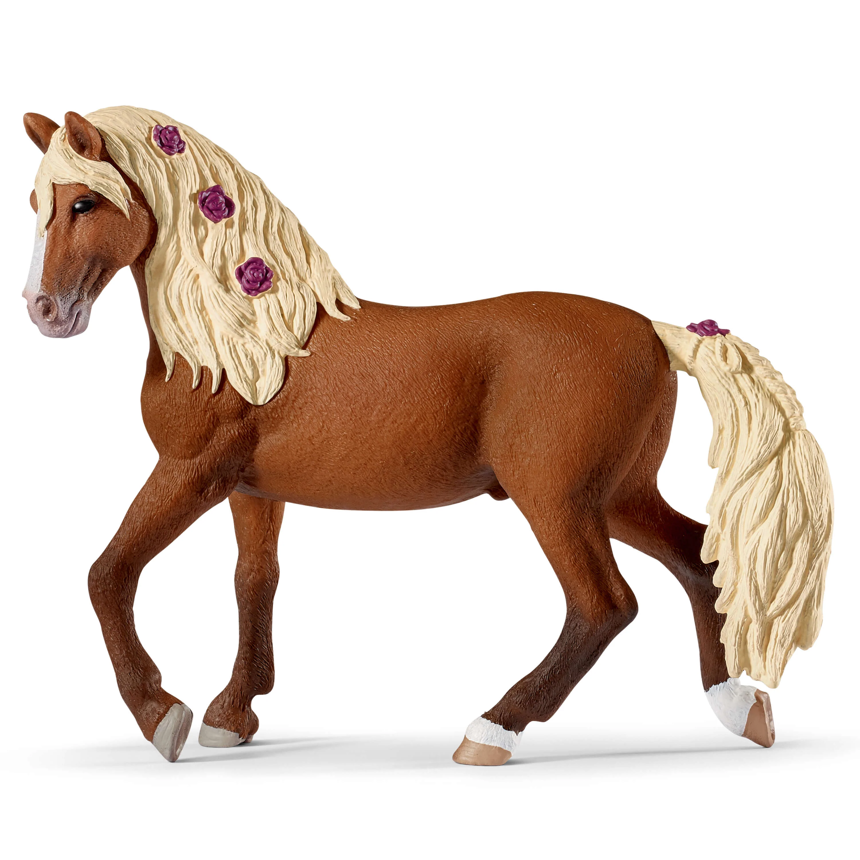 Paso Fino hengst paardenshow - Image 3