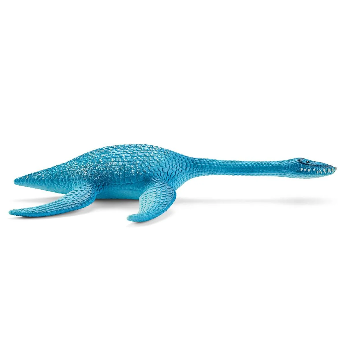 Plesiosaurus - Image 3