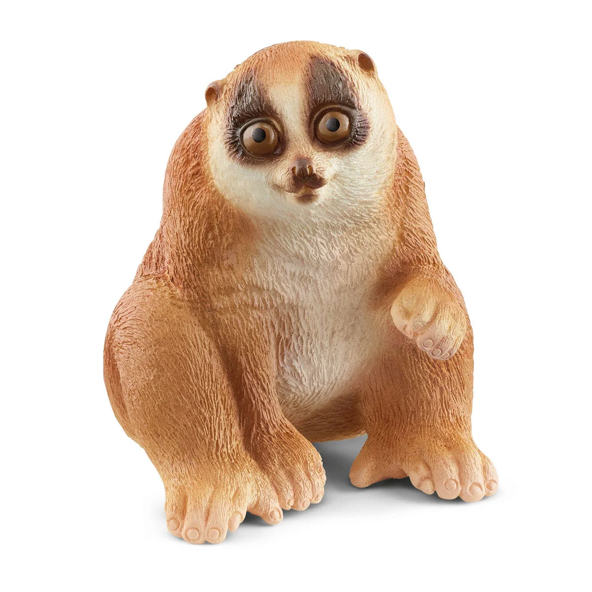 Miniatuur 1