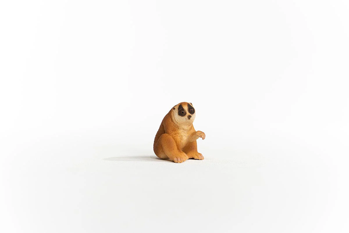 Miniatuur 2