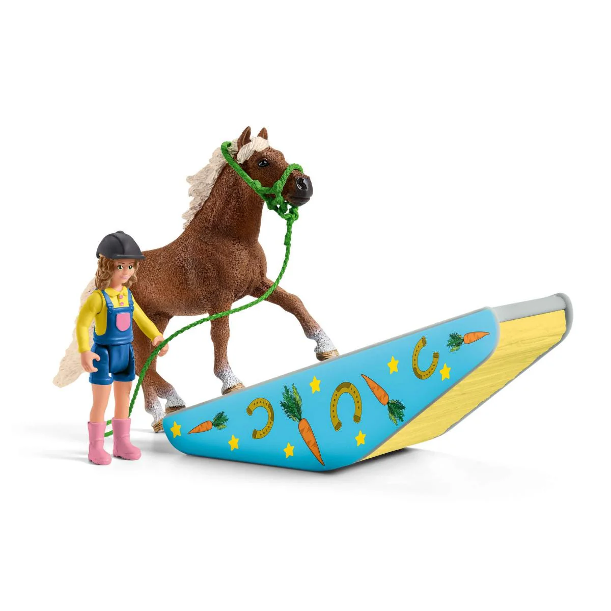 Pony agility training - Image 3