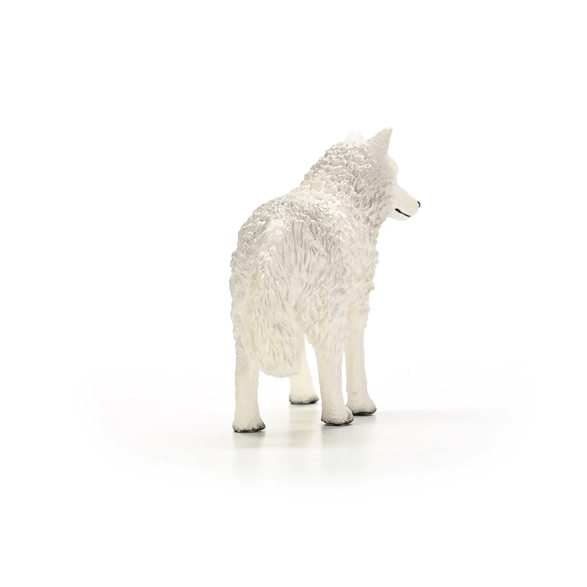 Poolwolf - Image 3