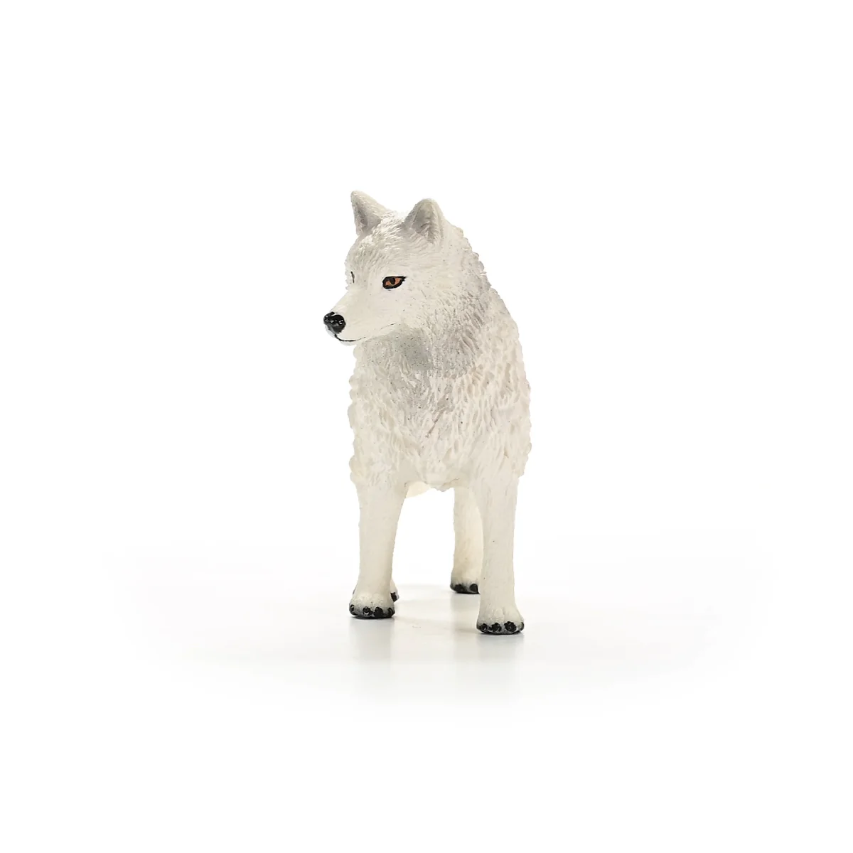 Poolwolf - Image 4