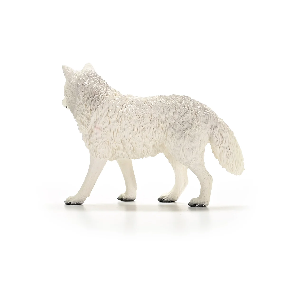 Poolwolf - Image 5
