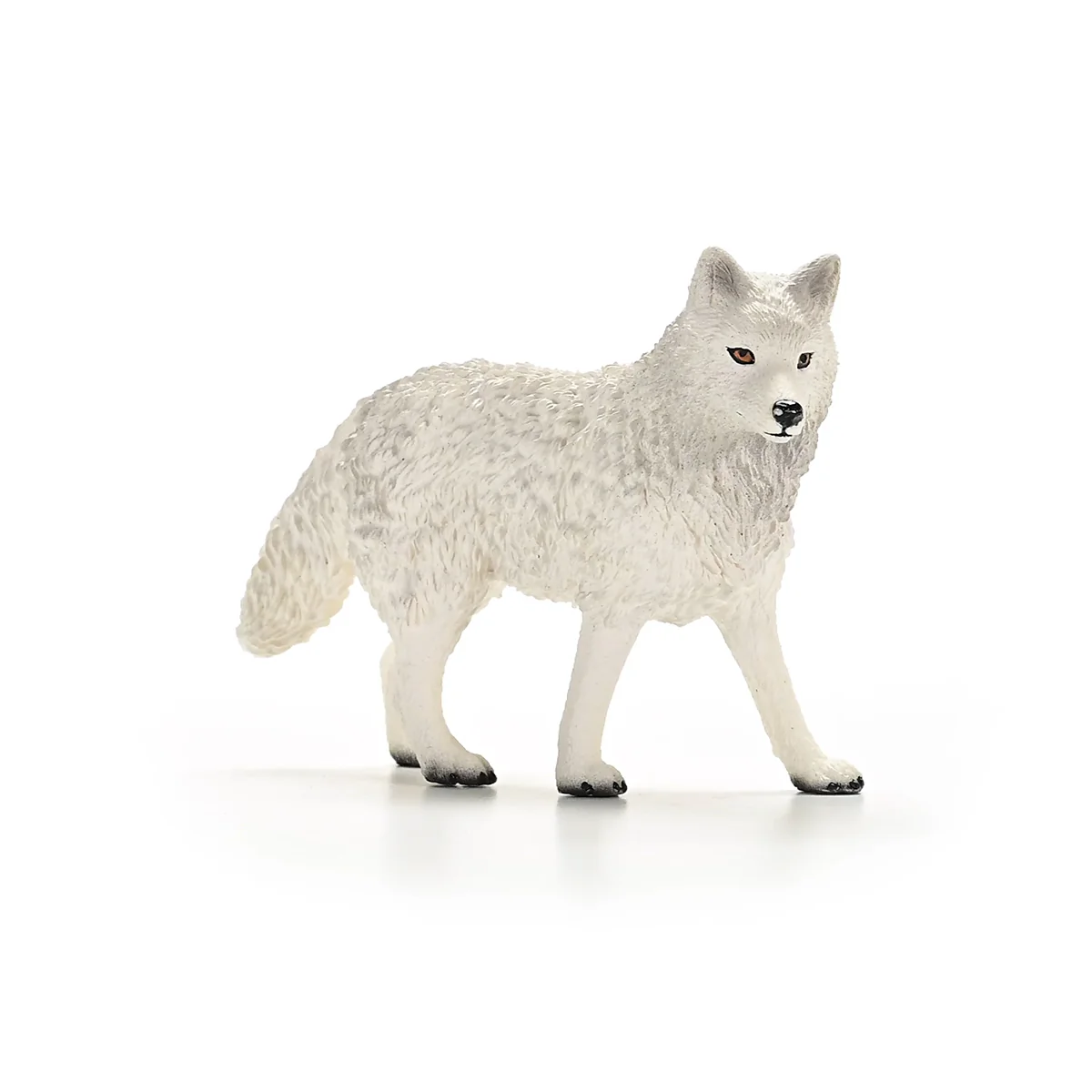 Poolwolf - Image 6