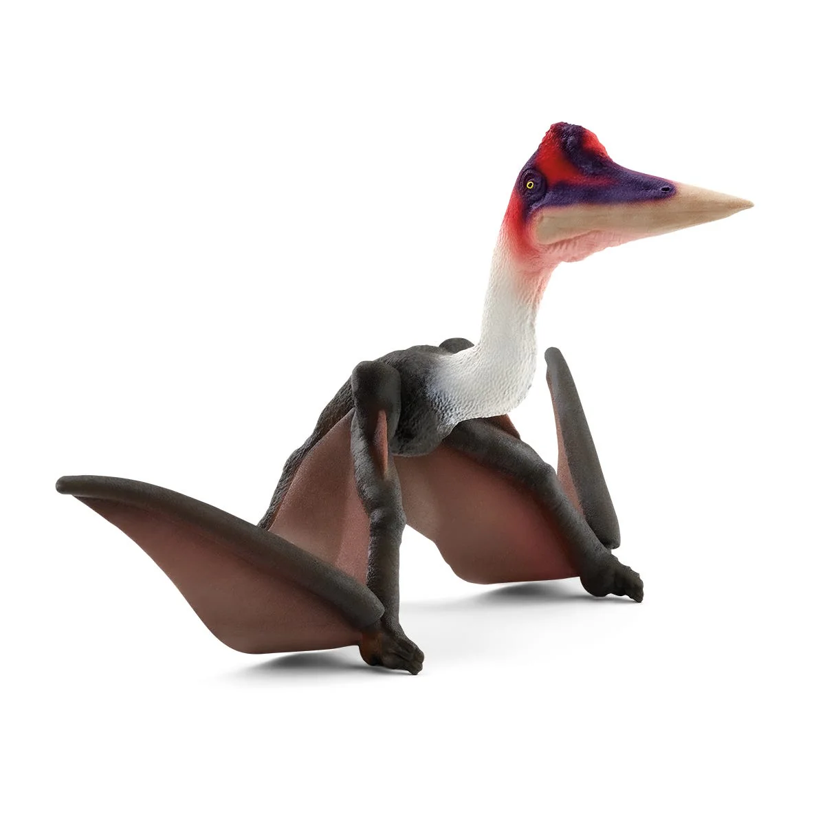 Quetzalcoatlus - Image 3