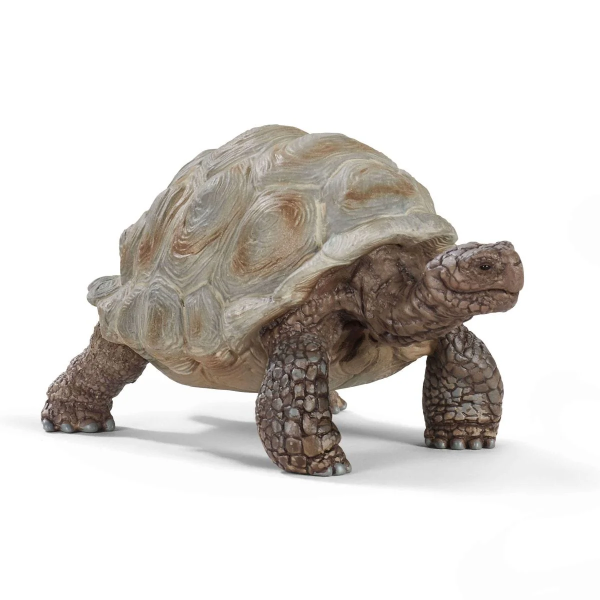 Miniatuur 1