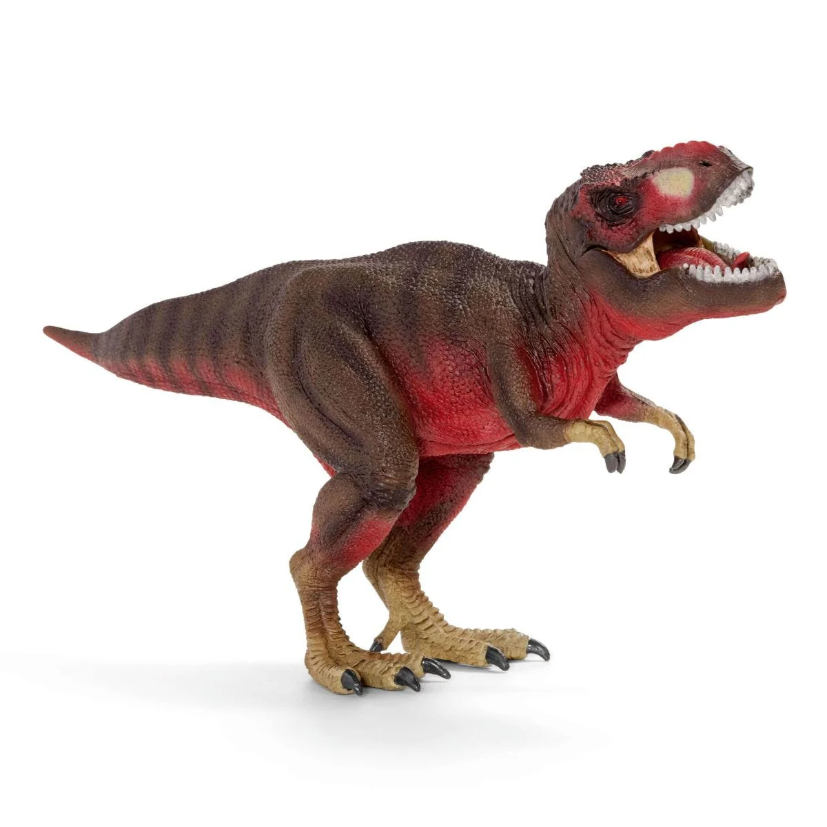 Miniatuur 1