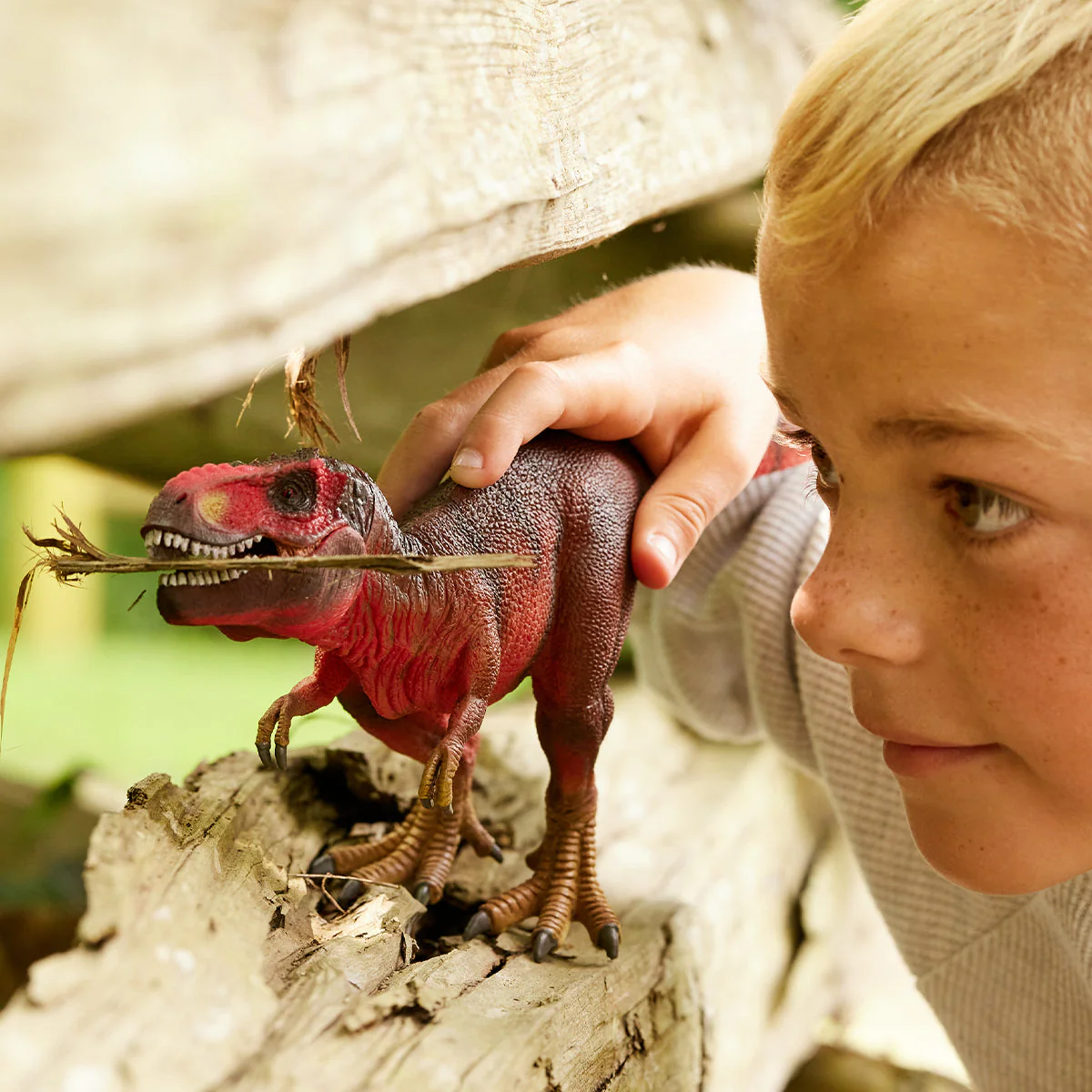 Miniatuur 2
