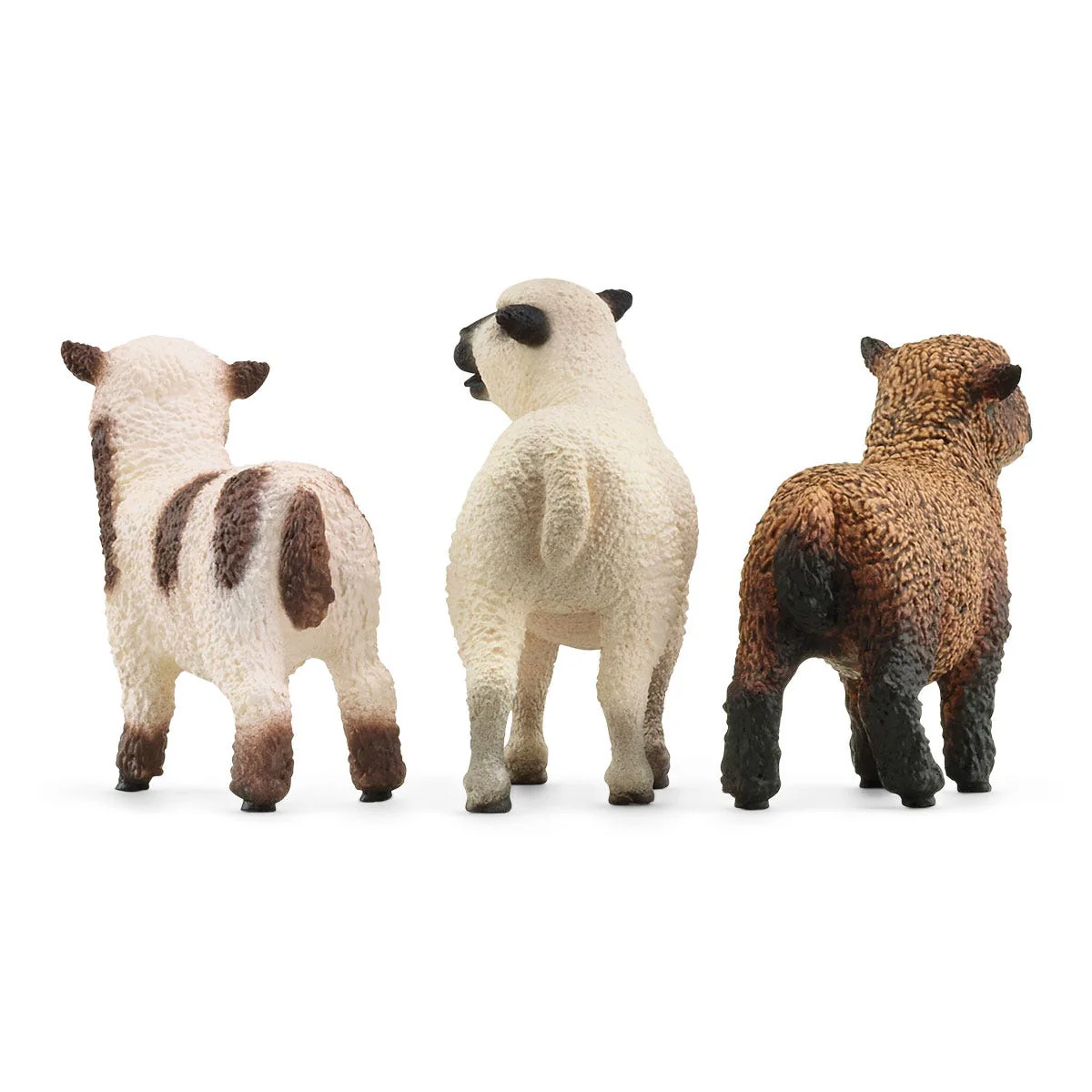 Schapenvriendjes - Image 2
