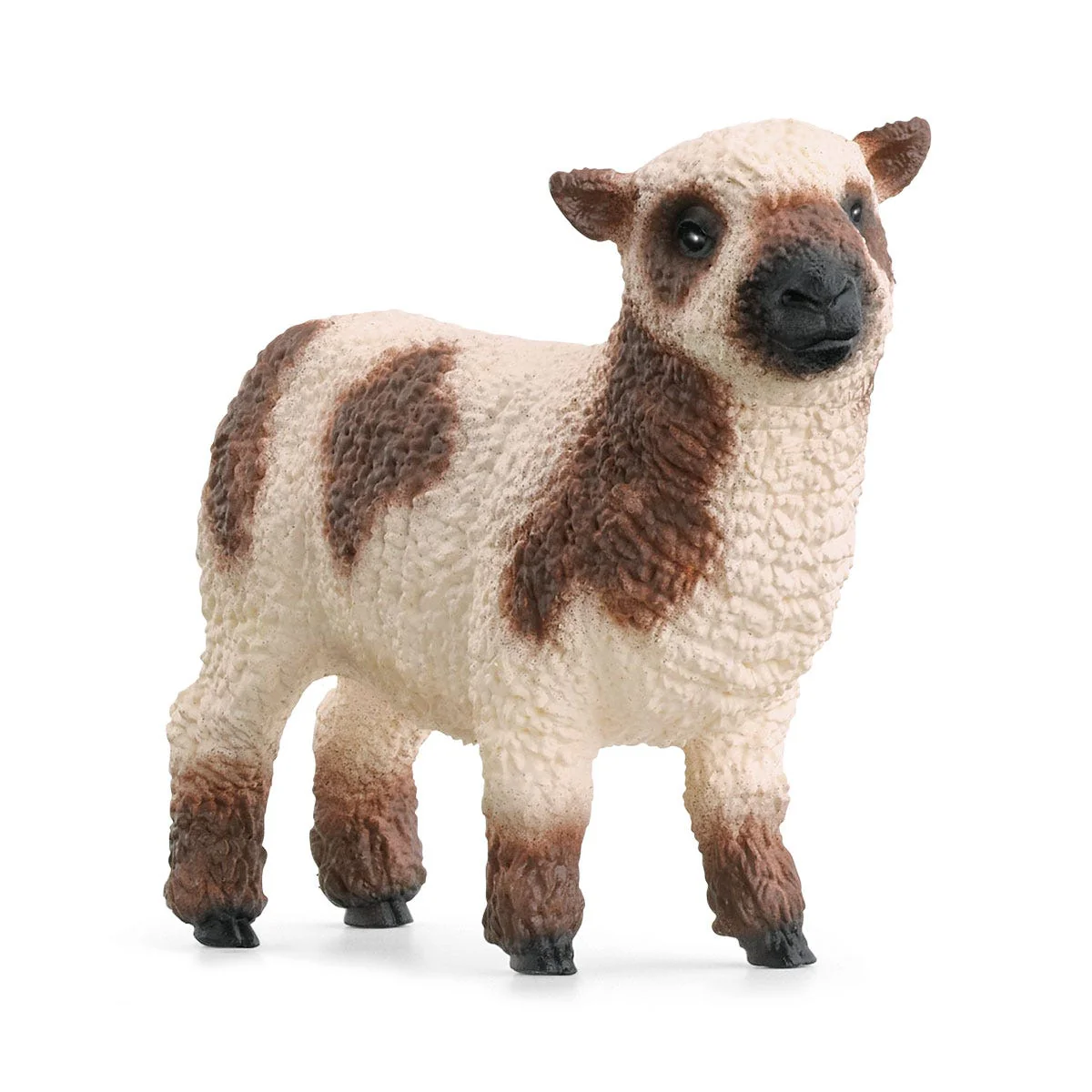 Schapenvriendjes - Image 5