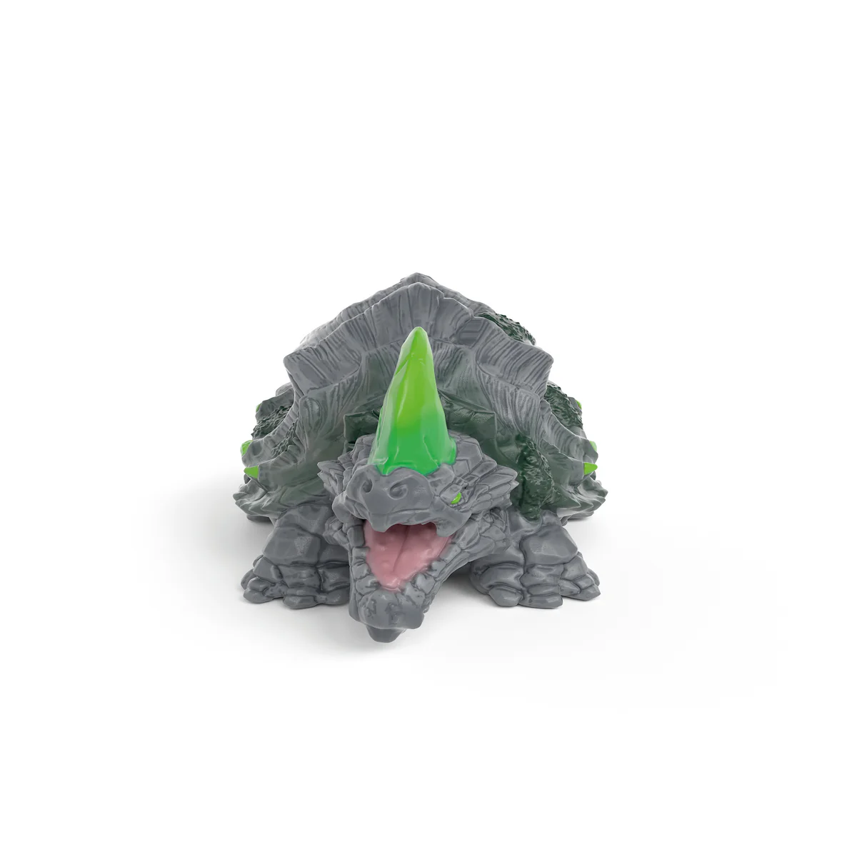 Steenschildpad - Image 3