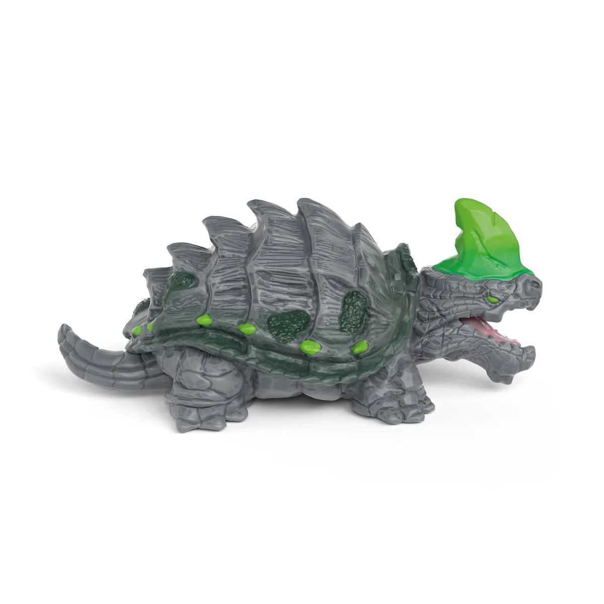 Steenschildpad - Image 4
