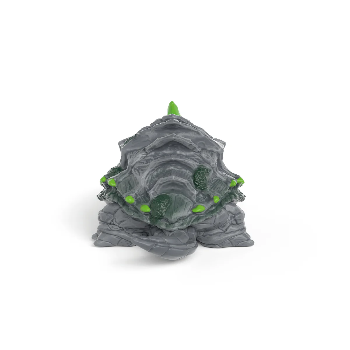 Steenschildpad - Image 6