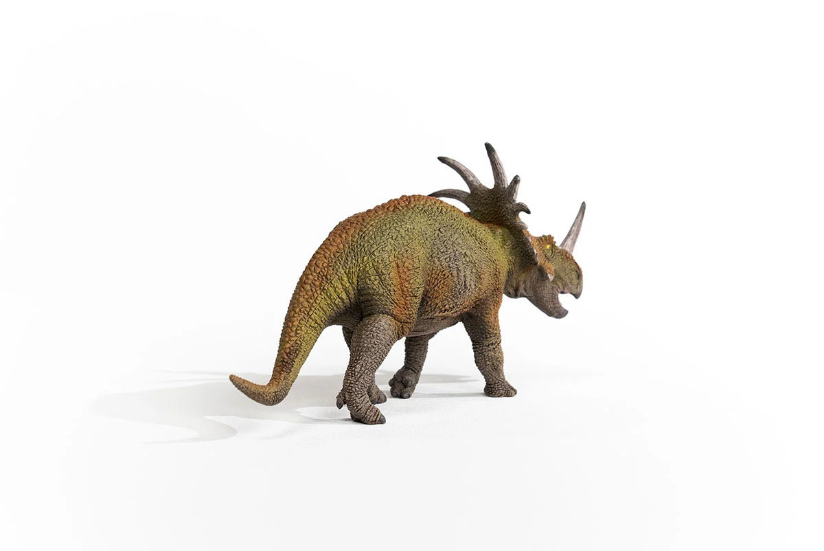 Styracosaurus - Image 5