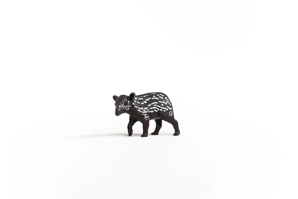Miniatuur 2