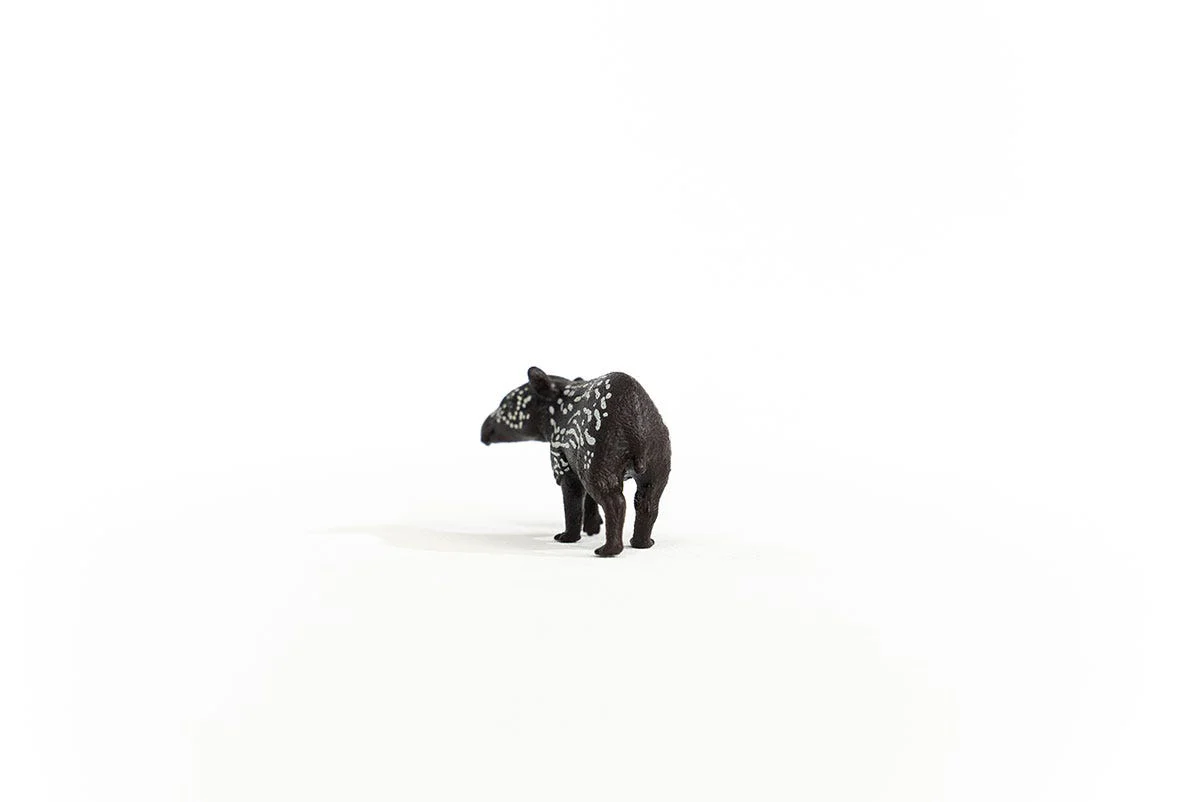 Tapirjong - Image 3