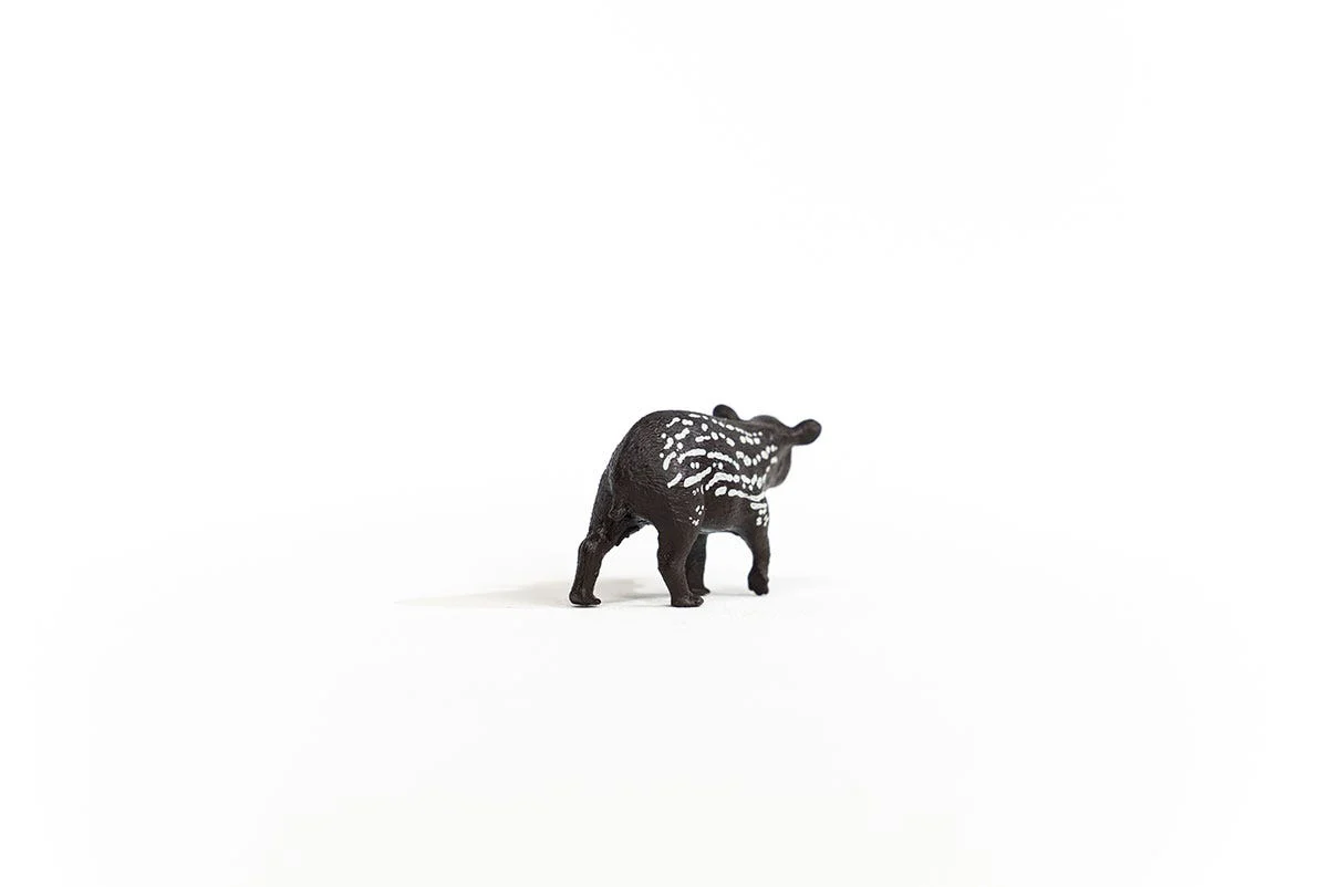 Tapirjong - Image 4