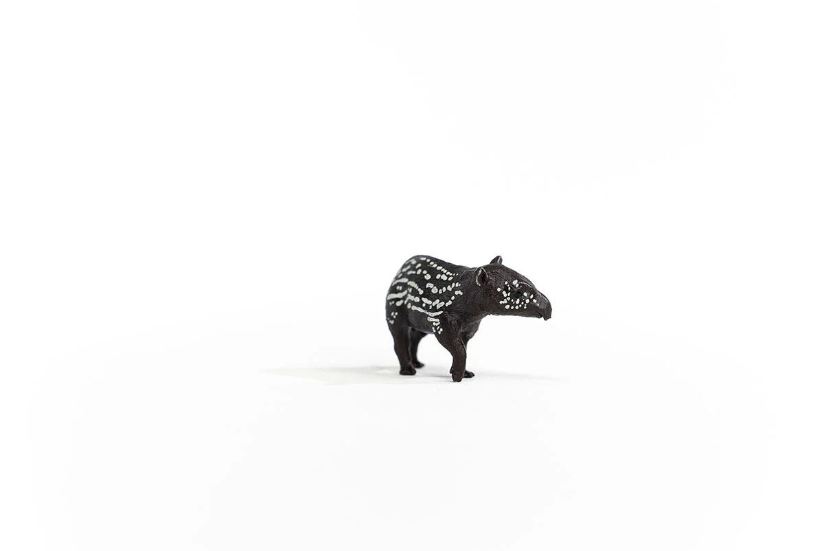 Tapirjong - Image 5