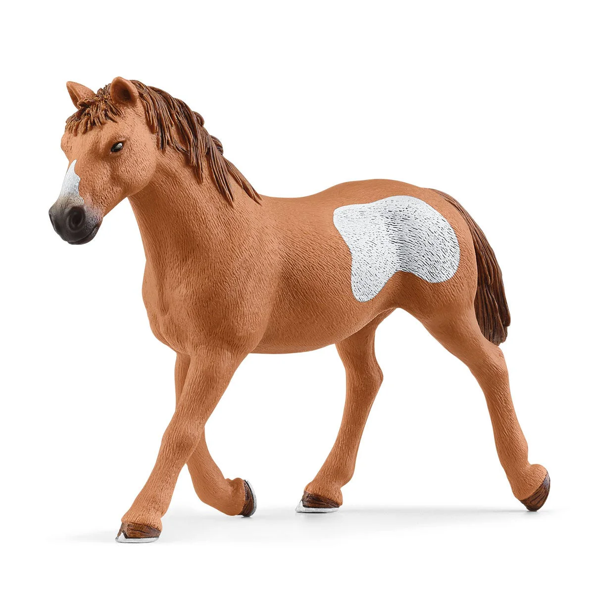 Team roping met cowgirl - Image 12