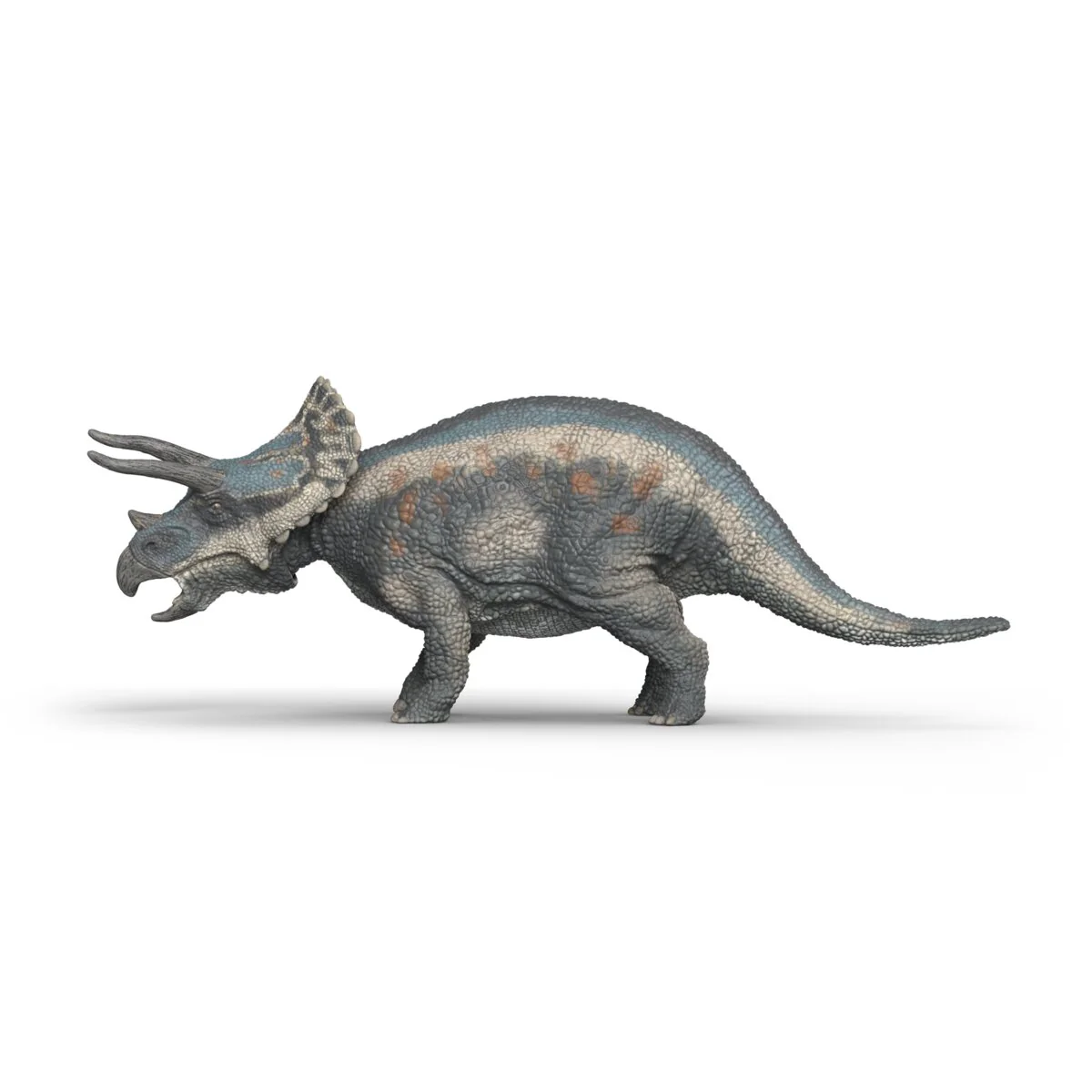 Triceratops - Image 6