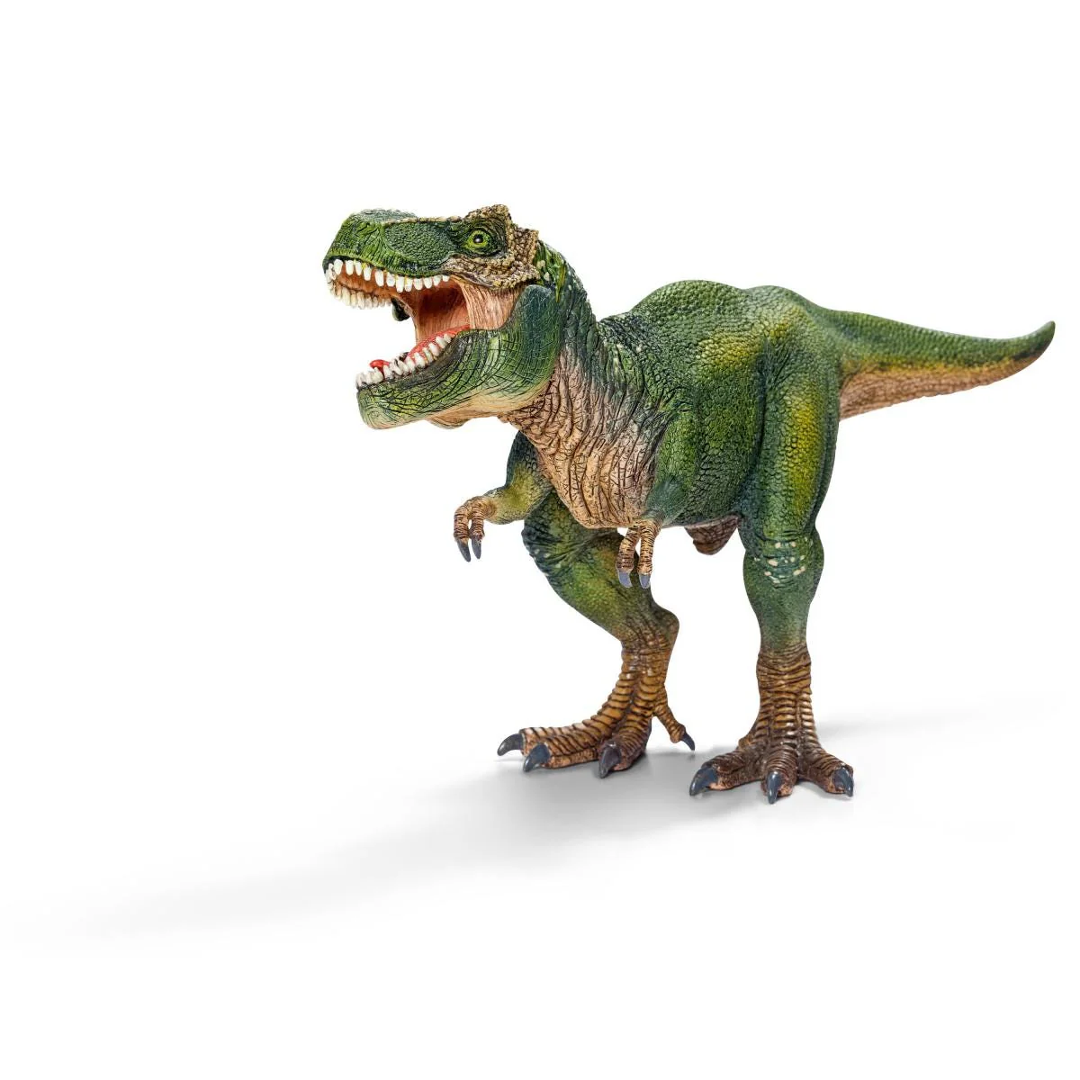 Miniatuur 1
