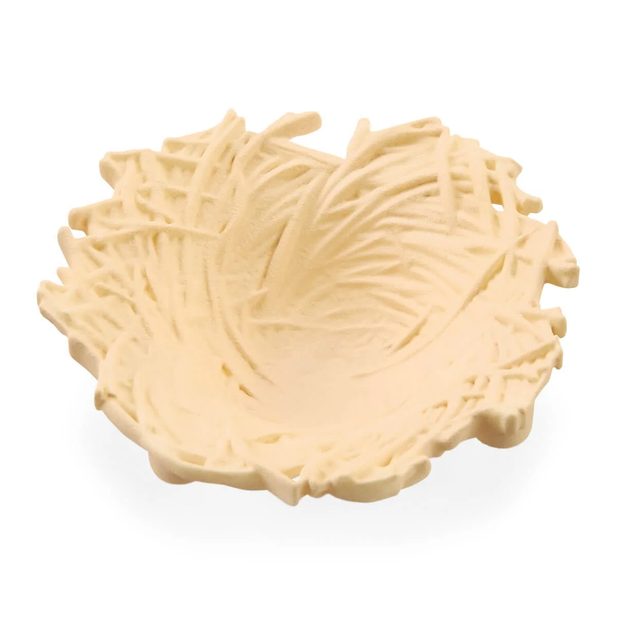 Uitkomende baby-uilen - Image 7