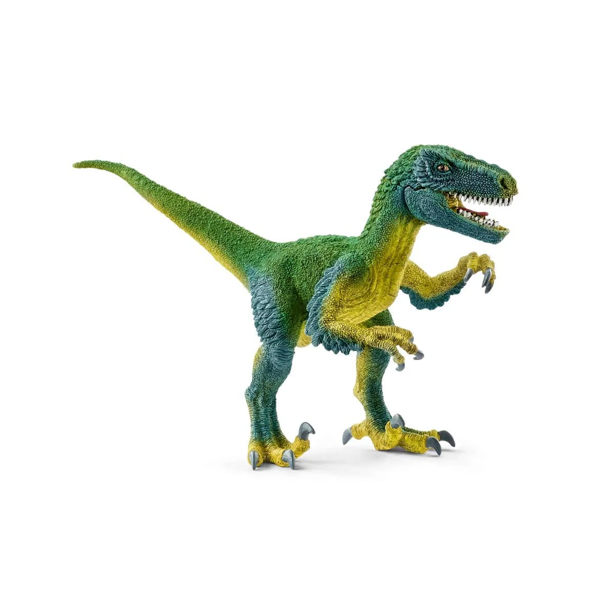Miniatuur 1